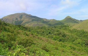 Coorg