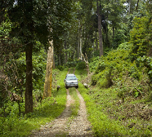 Coorg chidambaram
